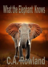 What the Elephant Knows