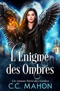L'Énigme des ombres