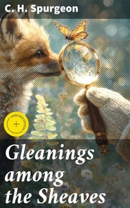 Gleanings among the Sheaves