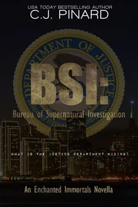 BSI: Bureau of Supernatural Investigation