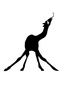 C. Jeanney - La langue de la girafe.