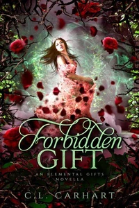 Forbidden Gift