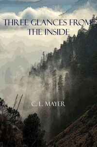 Three Glances from the Inside