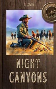 Night Canyons