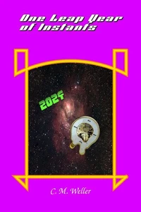 One Leap Year of Instants 2024