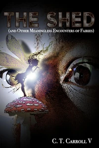 The Shed (and Other Meaningless Encounters of Fairies)