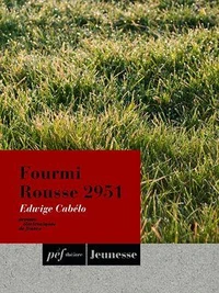Fourmi Rousse 2951