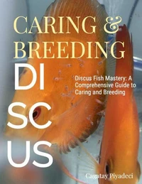Discus Fish Mastery: A Comprehensive Guide to Caring and Breeding