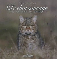 Le chat sauvage, les yeux dans les yeux
