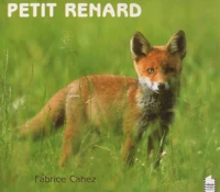Petit renard