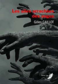 Les ailes arrachées des anges