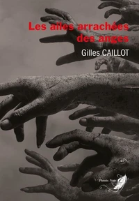 Les ailes arrachées des anges