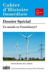 Un monde en transition(s) ?