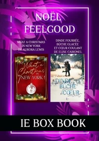 Box book de Noël : Dinde fourrée, bûche glacée et coeur coulant - What a christmas in New York