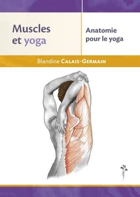 Muscles et yoga