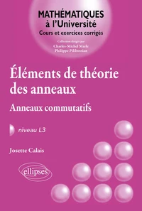 Eléments de la théorie des anneaux