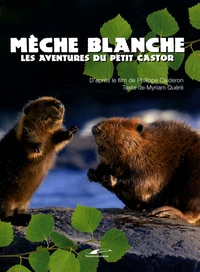 Mèche Blanche