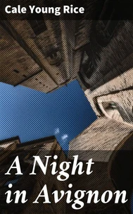 A Night in Avignon