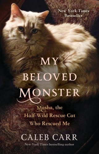 My Beloved Monster. Masha, the Half-wild Rescue Cat Who Rescued Me