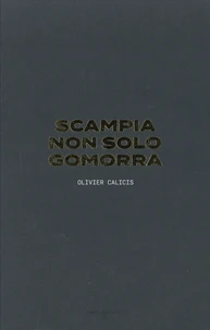 Scampia non solo Gomorra