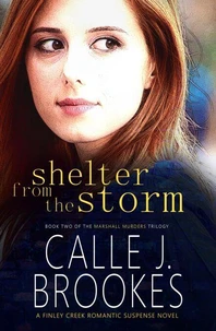 Shelter from the Storm
