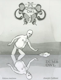 Dumb Owl