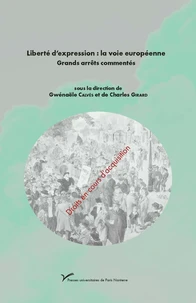 Liberté d'expression : la voie européenne