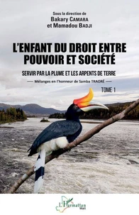 L'enfant du droit entre pouvoir et société