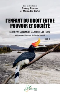 L'enfant du droit entre pouvoir et société