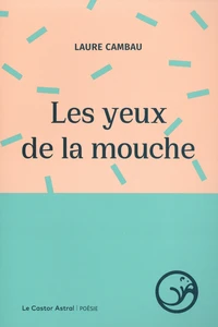 Les yeux de la mouche
