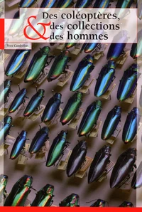 Des coléoptères, des collections et des hommes