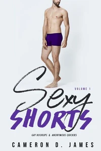 Sexy Shorts: Volume One: Gay Hookups and Anonymous Quickies