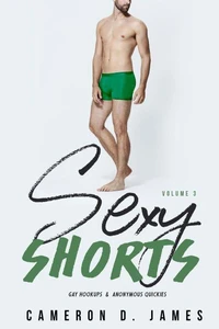Sexy Shorts: Volume Three: Gay Hookups and Anonymous Quickies