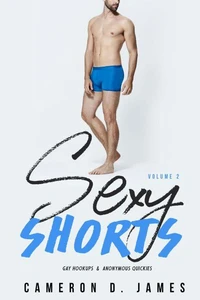 Sexy Shorts: Volume Two: Gay Hookups and Anonymous Quickies