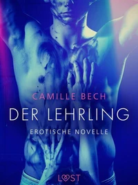 Der Lehrling - Erotische Novelle