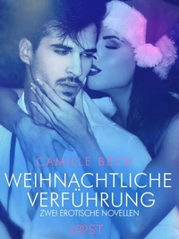 Weihnachtliche Verführung – Zwei erotische Novellen