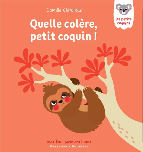 Couverture de Quelle colère, petit coquin !