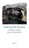Camille de Toledo - Oublier, trahir puis disparaître.