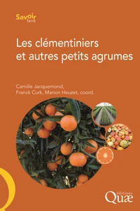 Les clémentiniers et autres petits agrumes