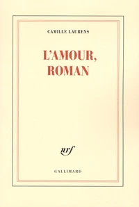 L'amour, roman