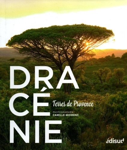 Camille Moirenc - Dracénie - Terres de Provence.