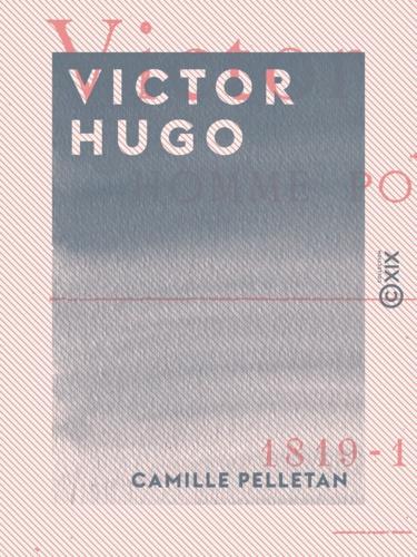 Victor Hugo. Homme politique
