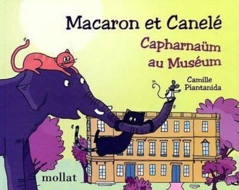 Camille Piantanida - Macaron et Canelé  : Capharnaüm au Muséum.
