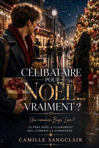 Célibataire pour Noël… Vraiment ? : Une romance Boys’ Love