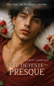 Je Te Déteste… Presque : Garçon-X-Garçon — Colère, Désir, et Tout ce qu’il y a entre les deux [Vol. 1]