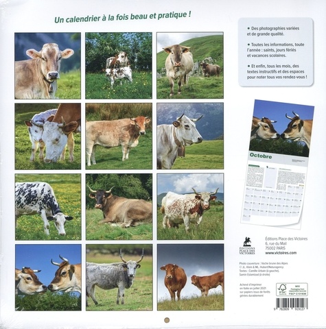 Calendrier Vaches  Edition 2022