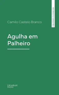 Agulha em Palheiro