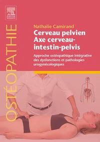 Cerveau pelvien, Axe cerveau-intestin-pelvis