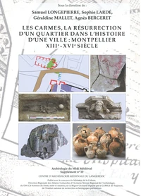 Les Carmes, la résurrection d'un quartier dans l'histoire d'une ville : Montpellier XIIIe-XVIe siècle