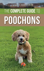 The Complete Guide to Poochons